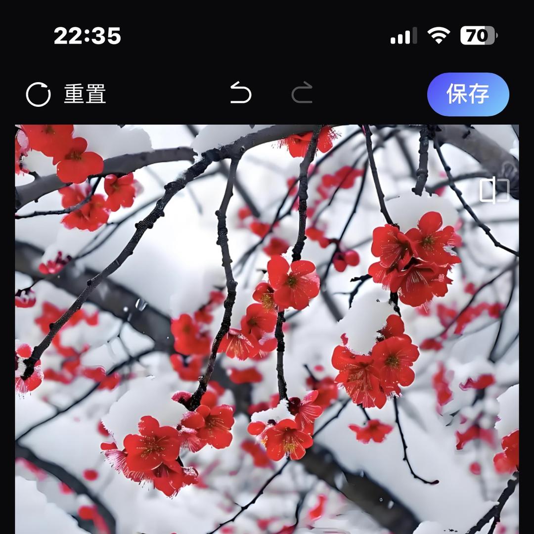 清雅庄园