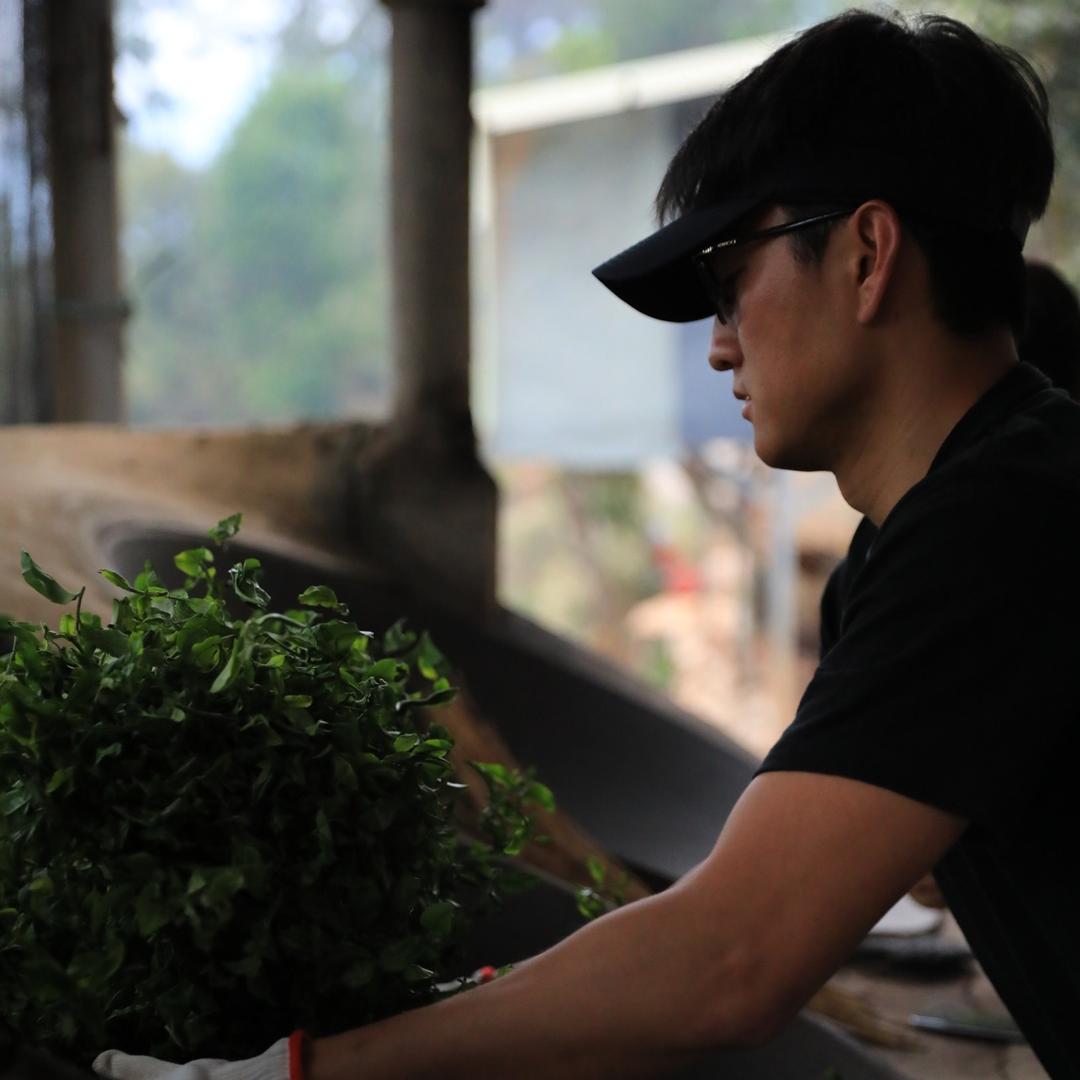 困鹿山皇家古茶园制茶人-山韵堂