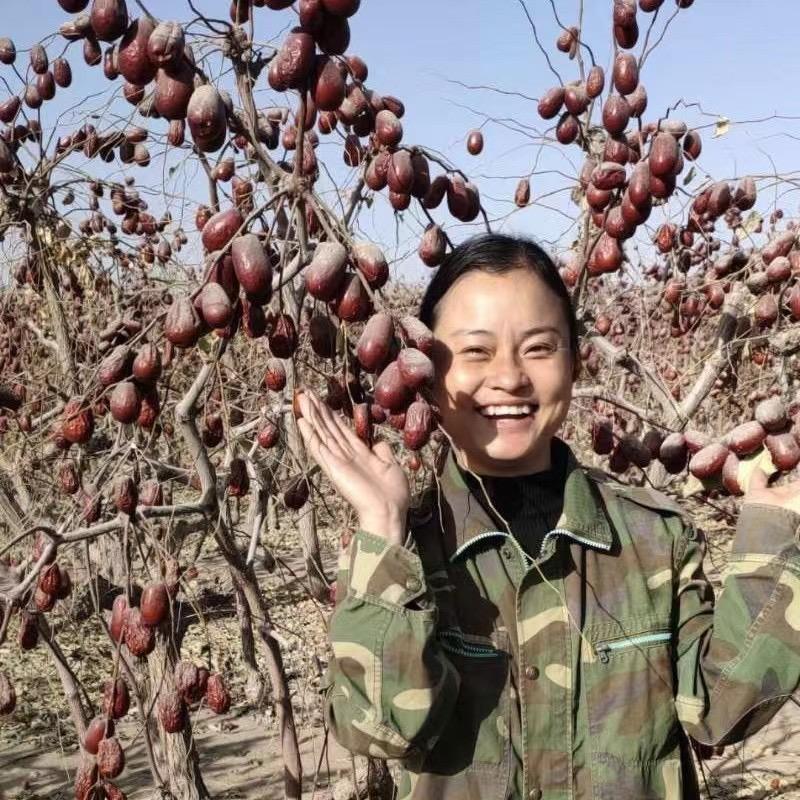 小娜家红枣