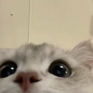 周0