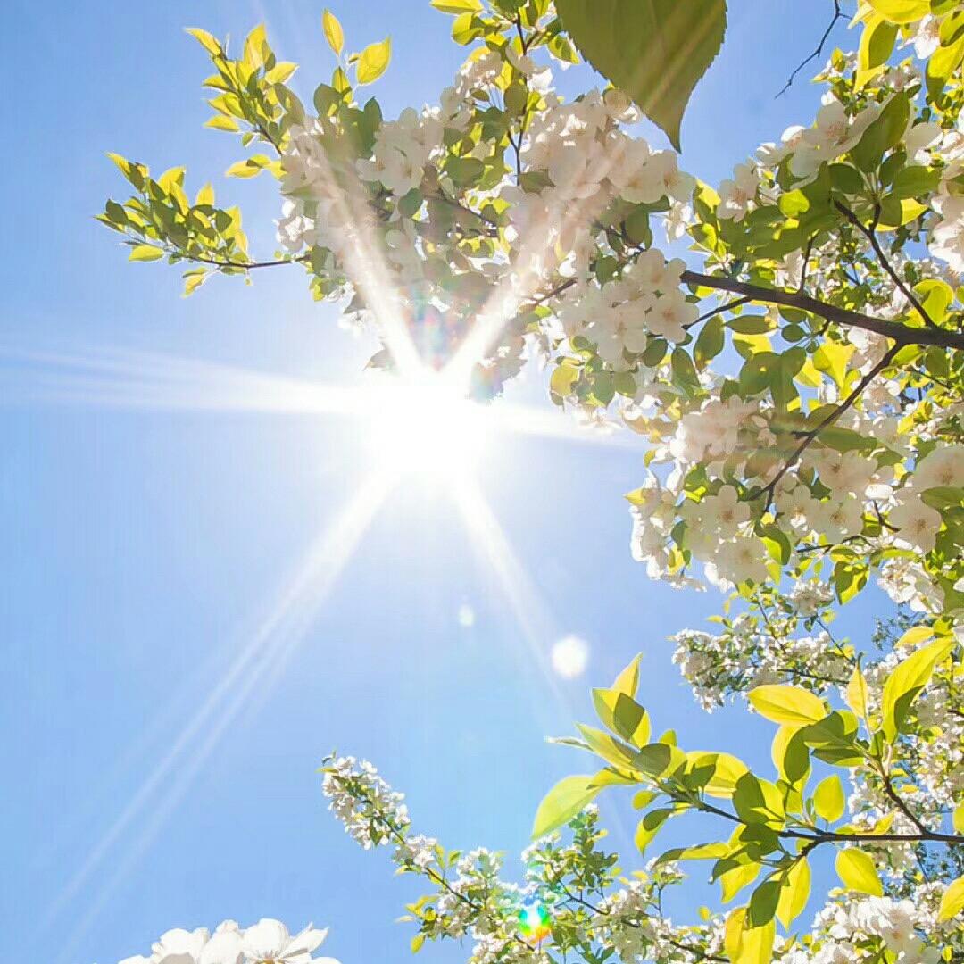 夏夏(剪映学习)