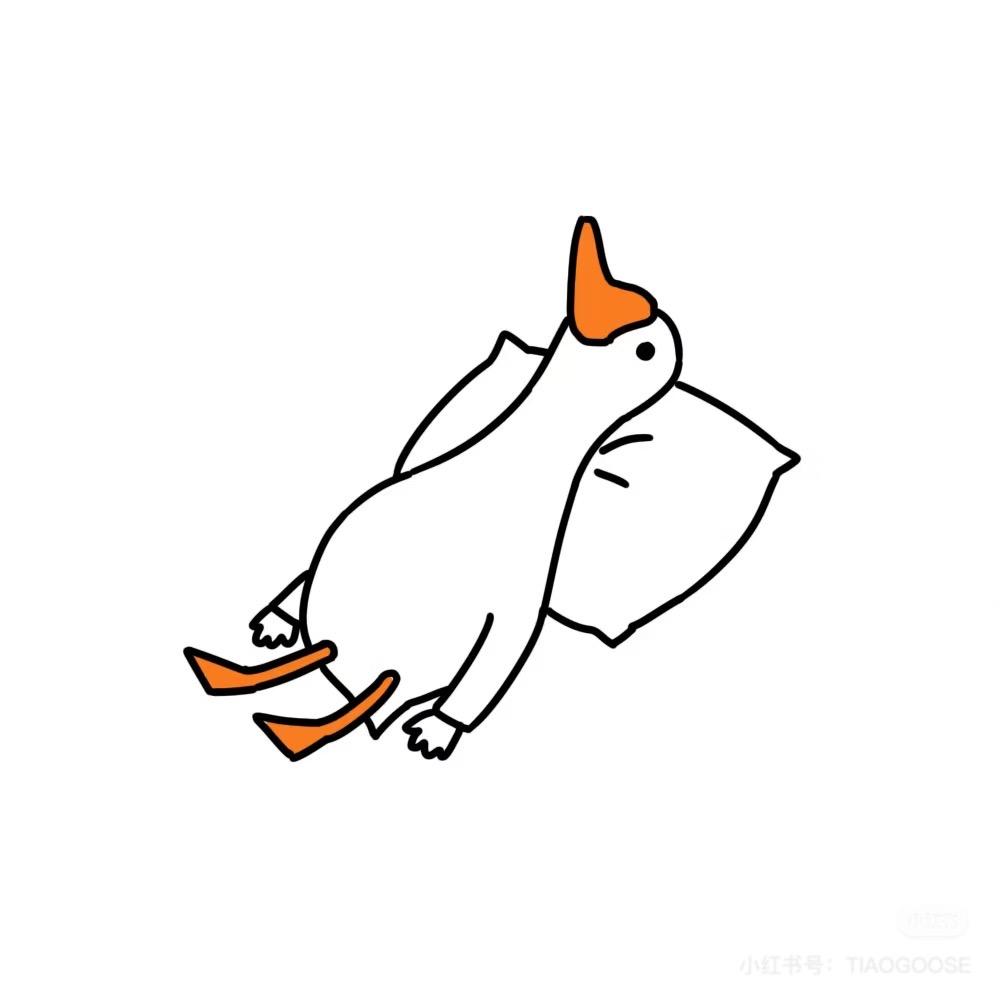 萧山傻大鹅🦢