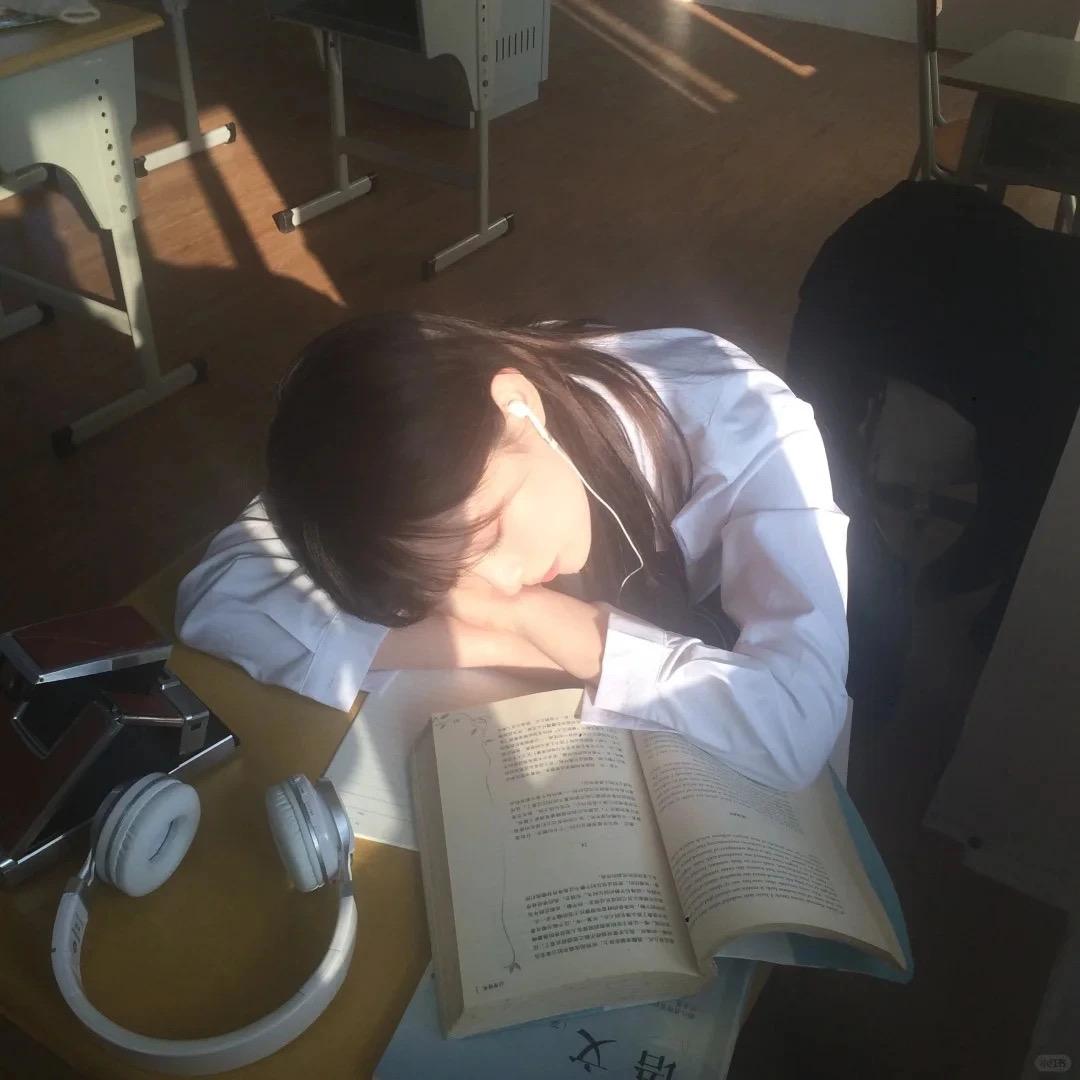 番茄不吵蛋
