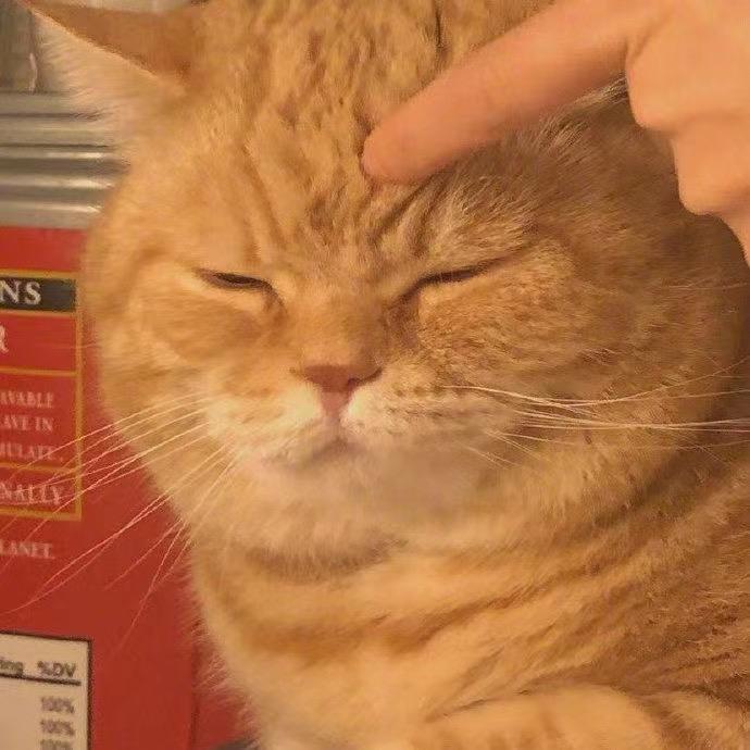也.