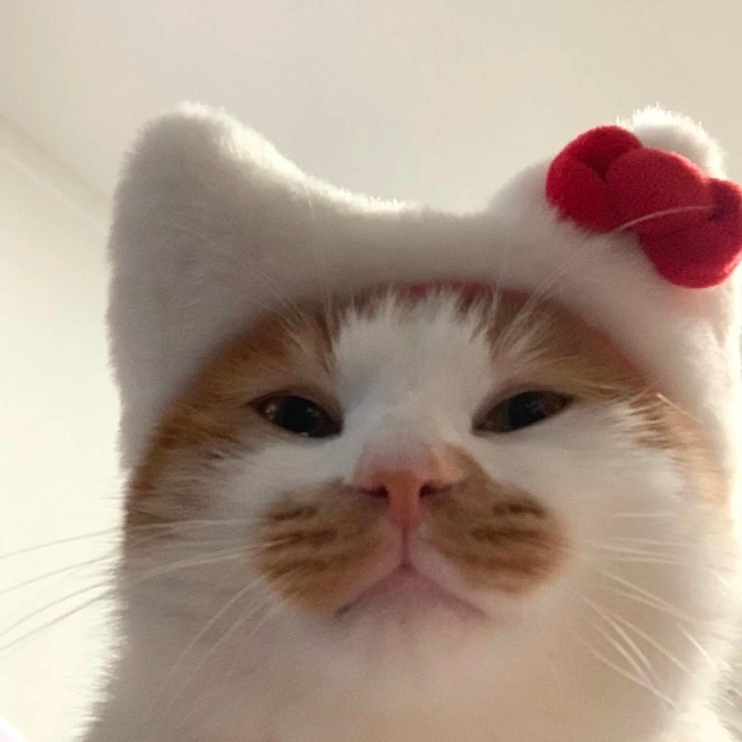 。。.