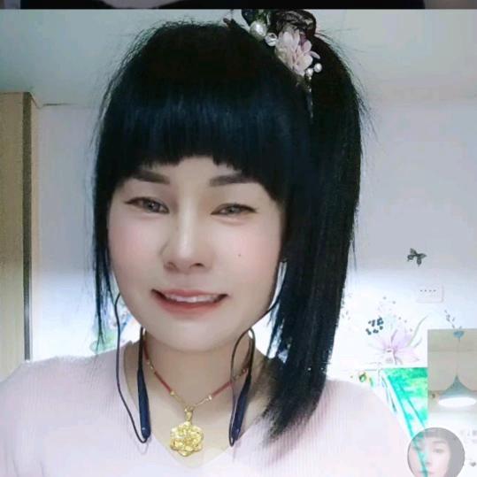 琴芬