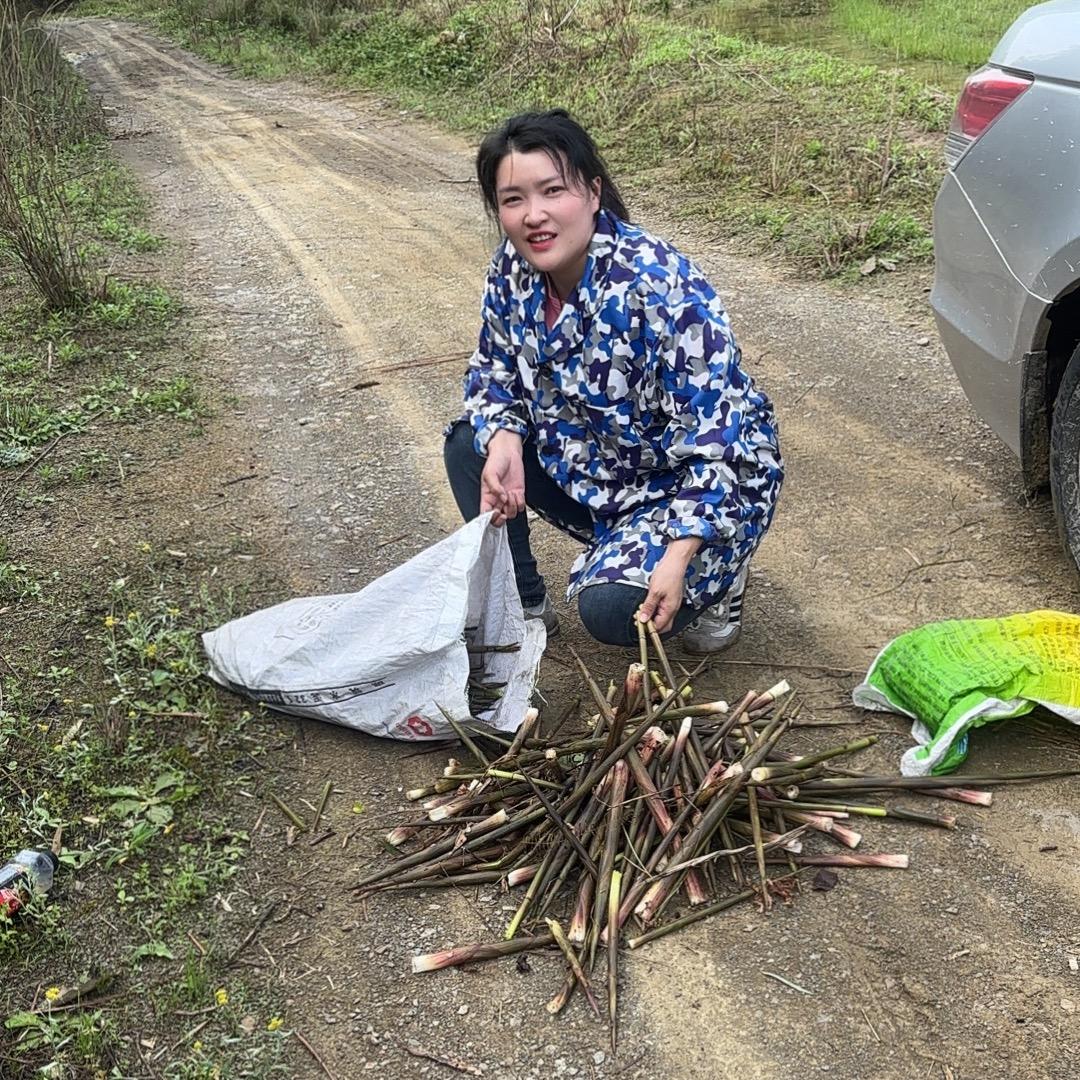 大云盘向麻子