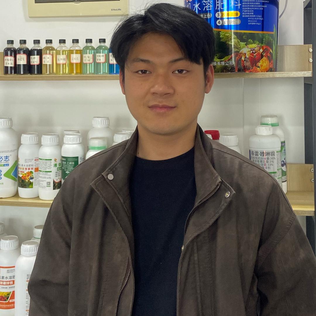 油茶小王