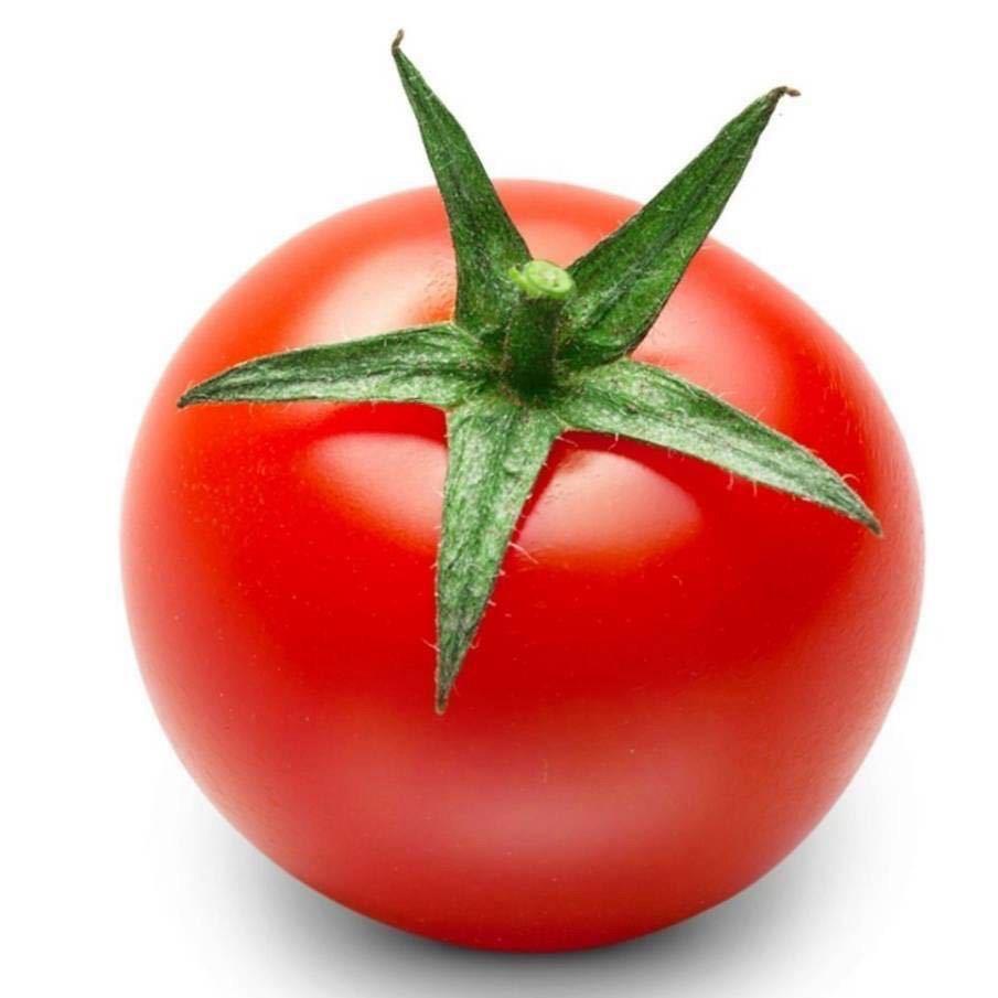 Tomato
