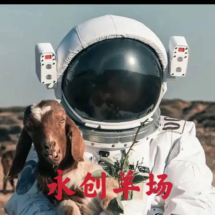 夏邑县永创羊场