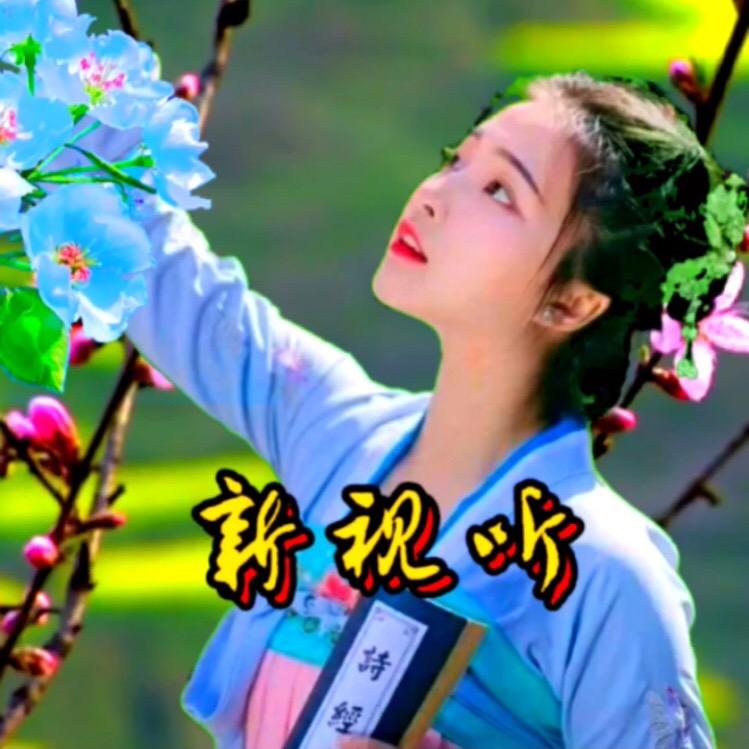 新视听🎧
