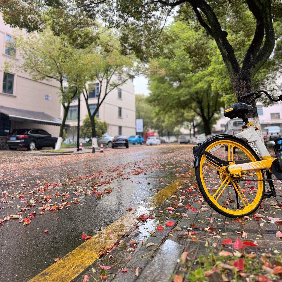 莫须有