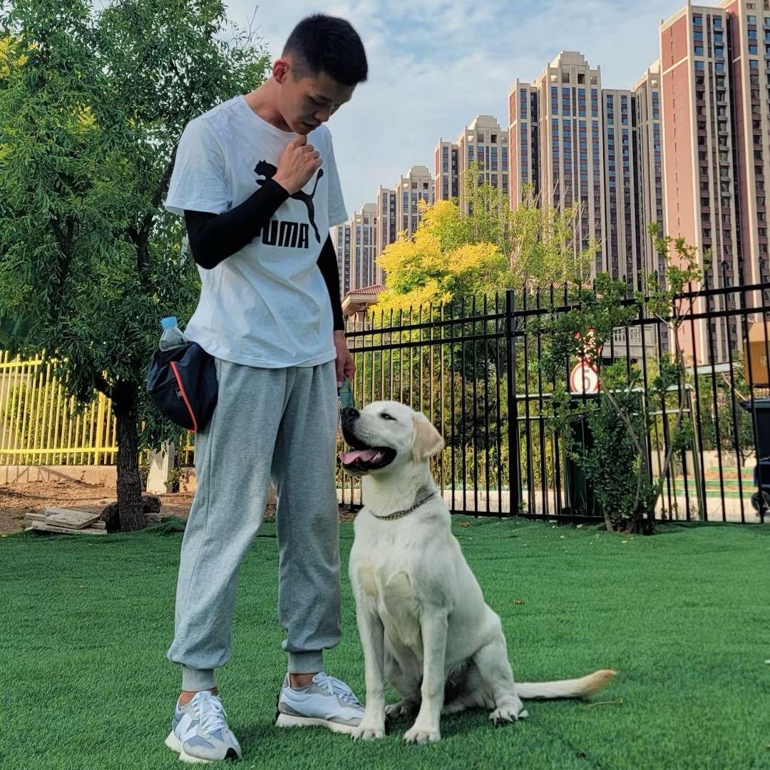 太原超凡训犬（寄养）