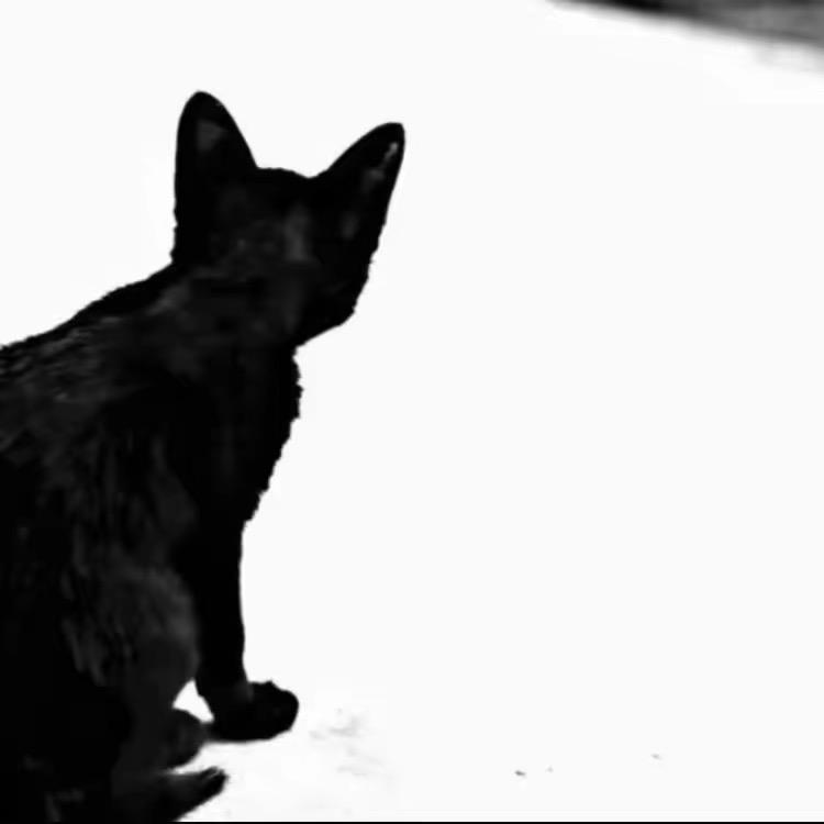 WHM