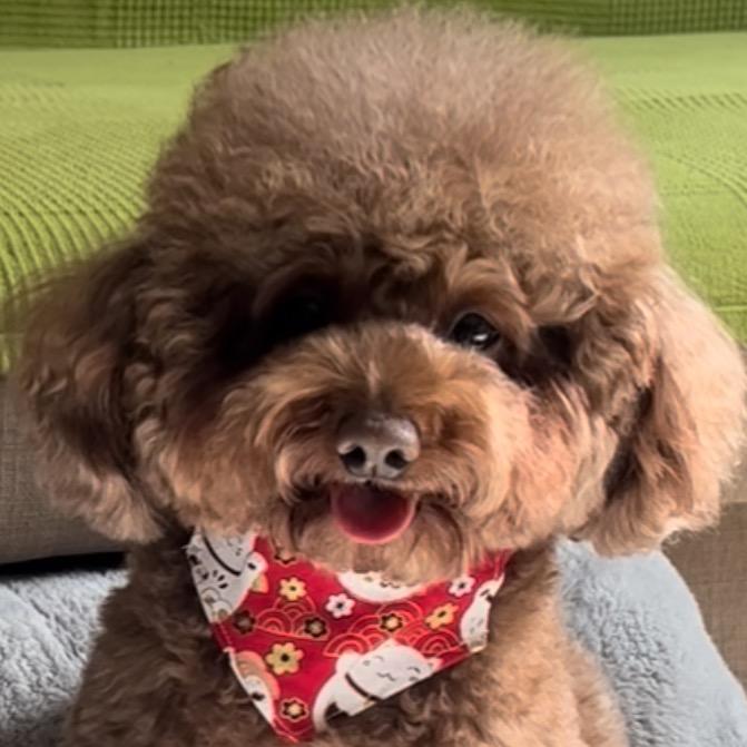 家有萌宠🐶