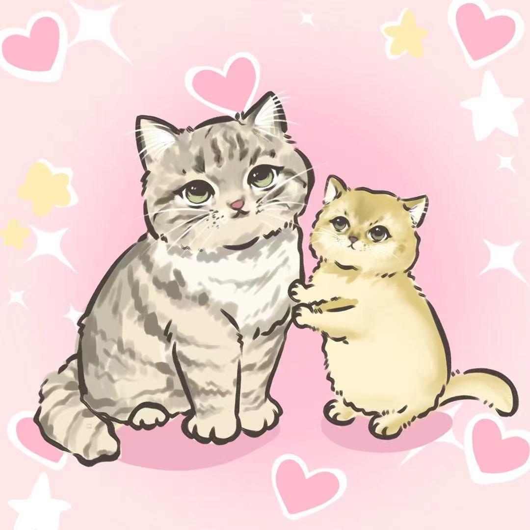 小🐱吃不饱