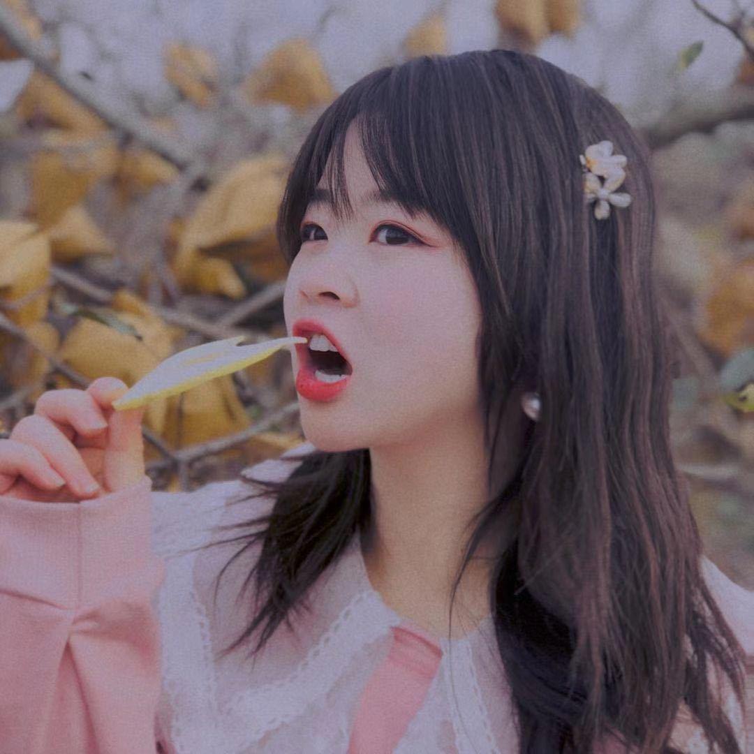 仙女球儿