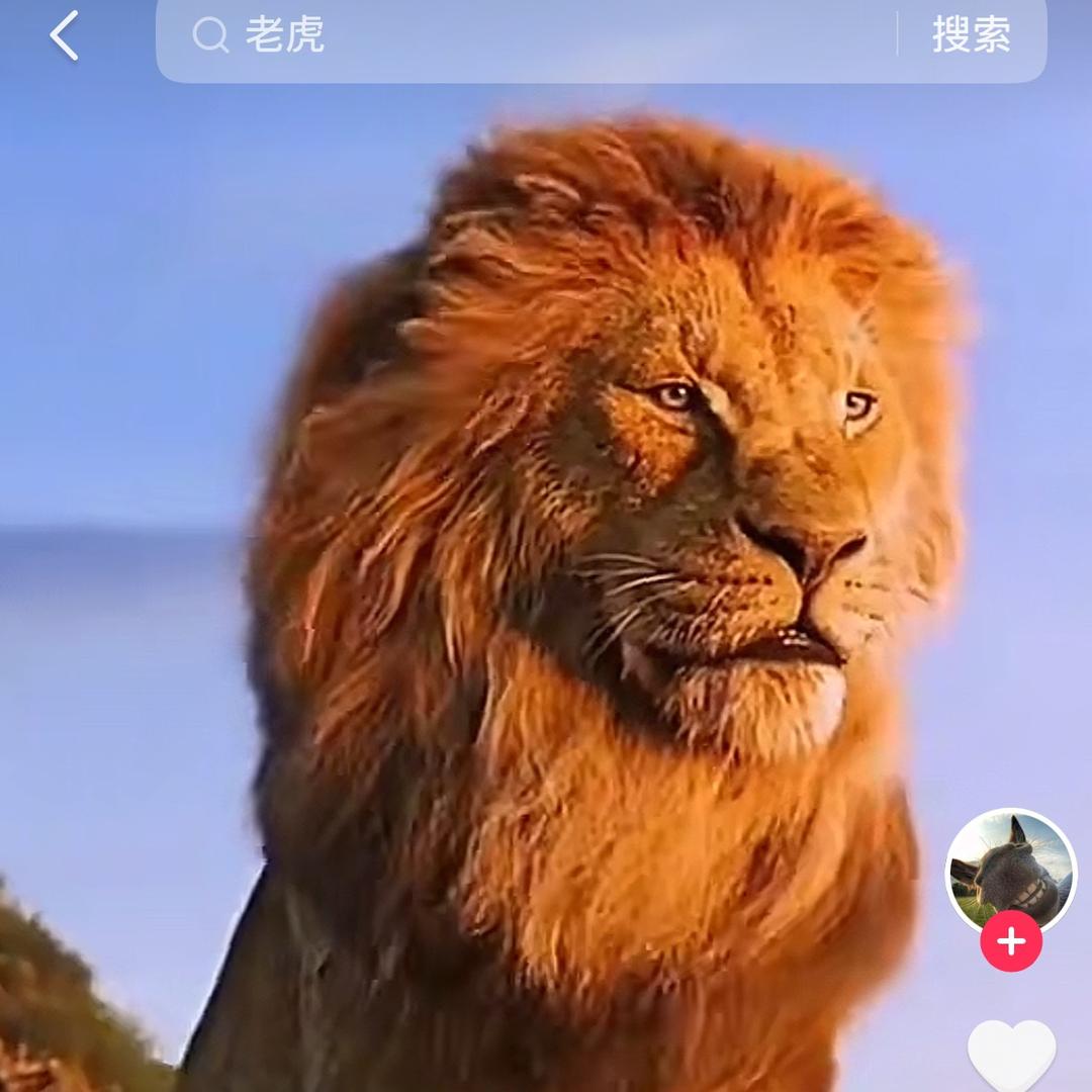 东柏的故事