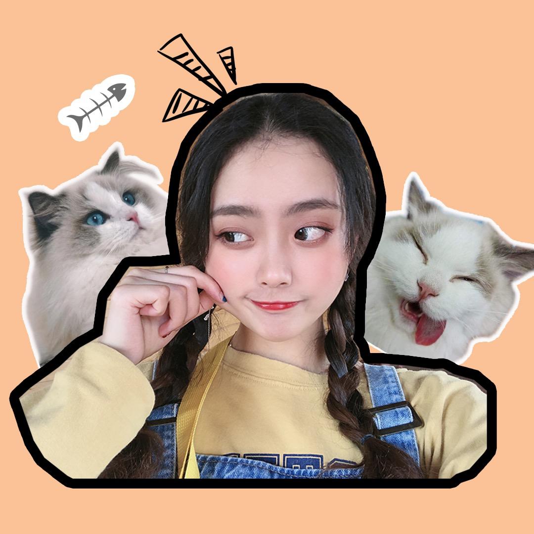 猫奴小只