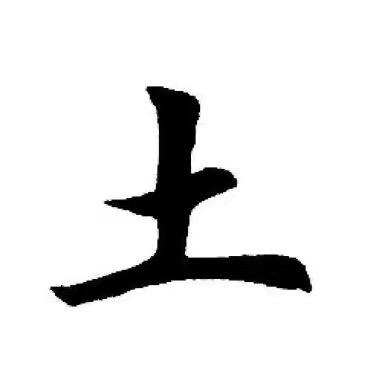 乡村土鳖