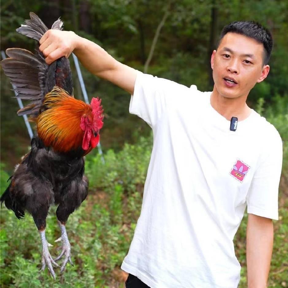 李家有鸡
