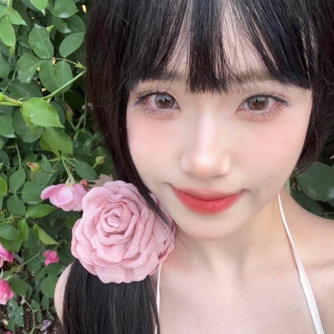 莫妮是只猫
