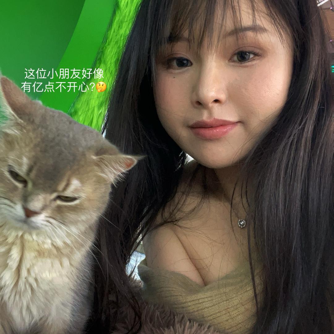 鹿乌龟