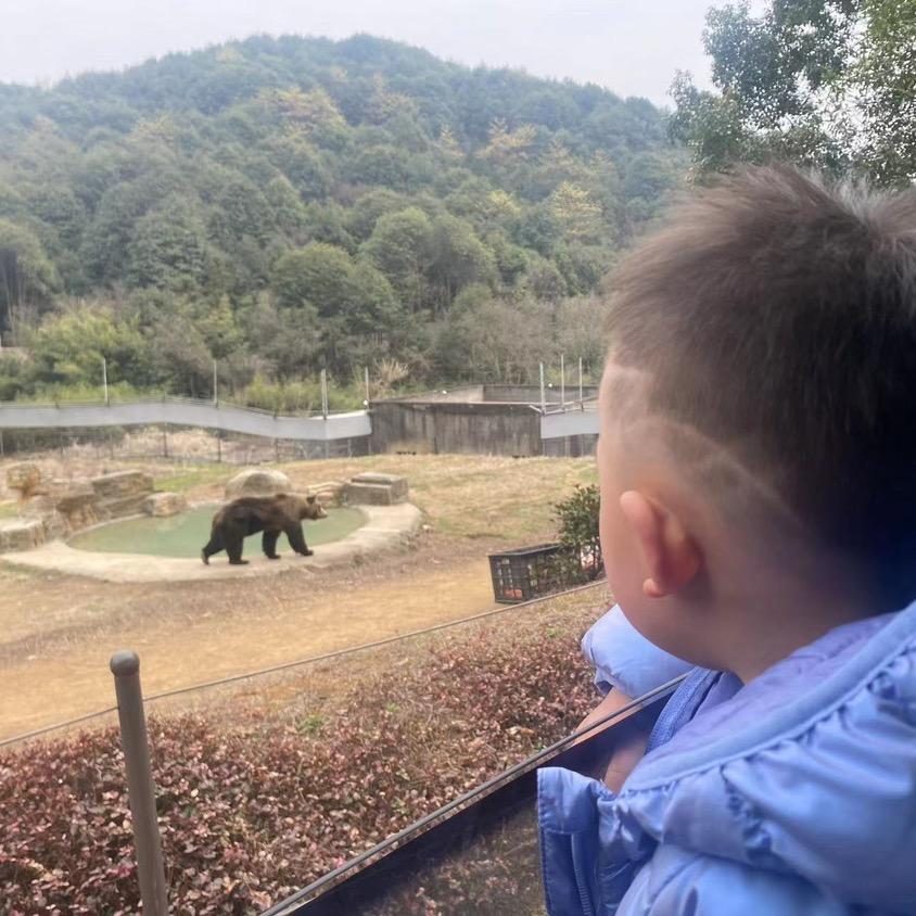 没用的大熊🐻