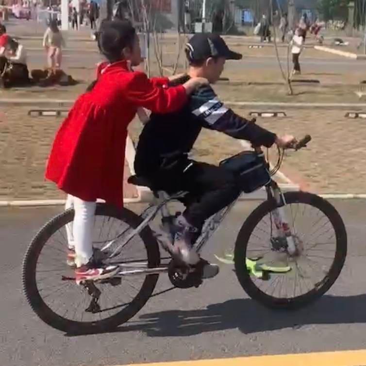 毛毛