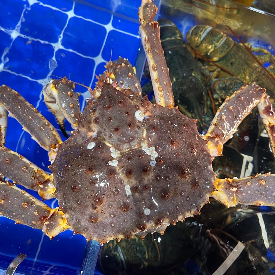 斐秀海鲜