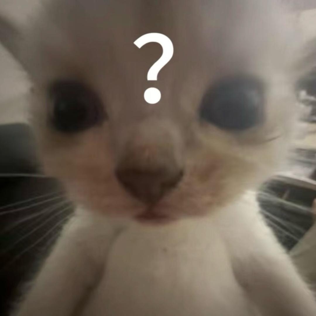 小悦大王