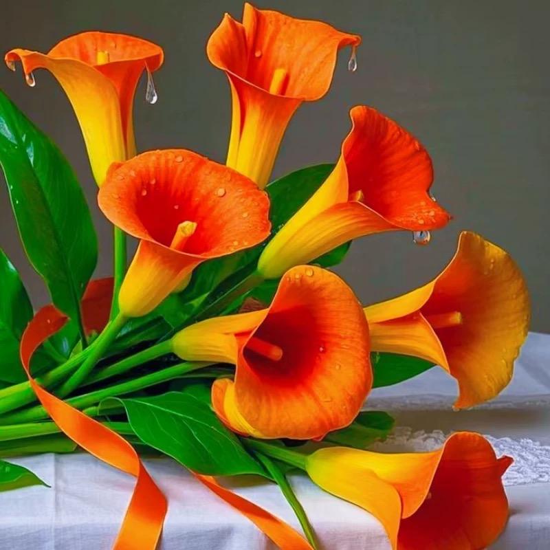 悦兮花卉