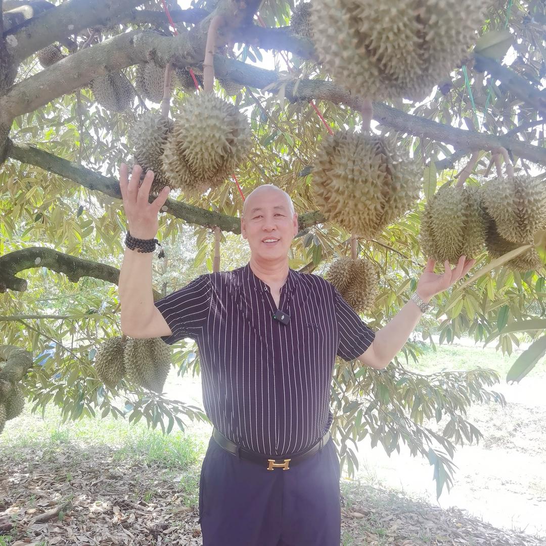 榴莲光头二大爷