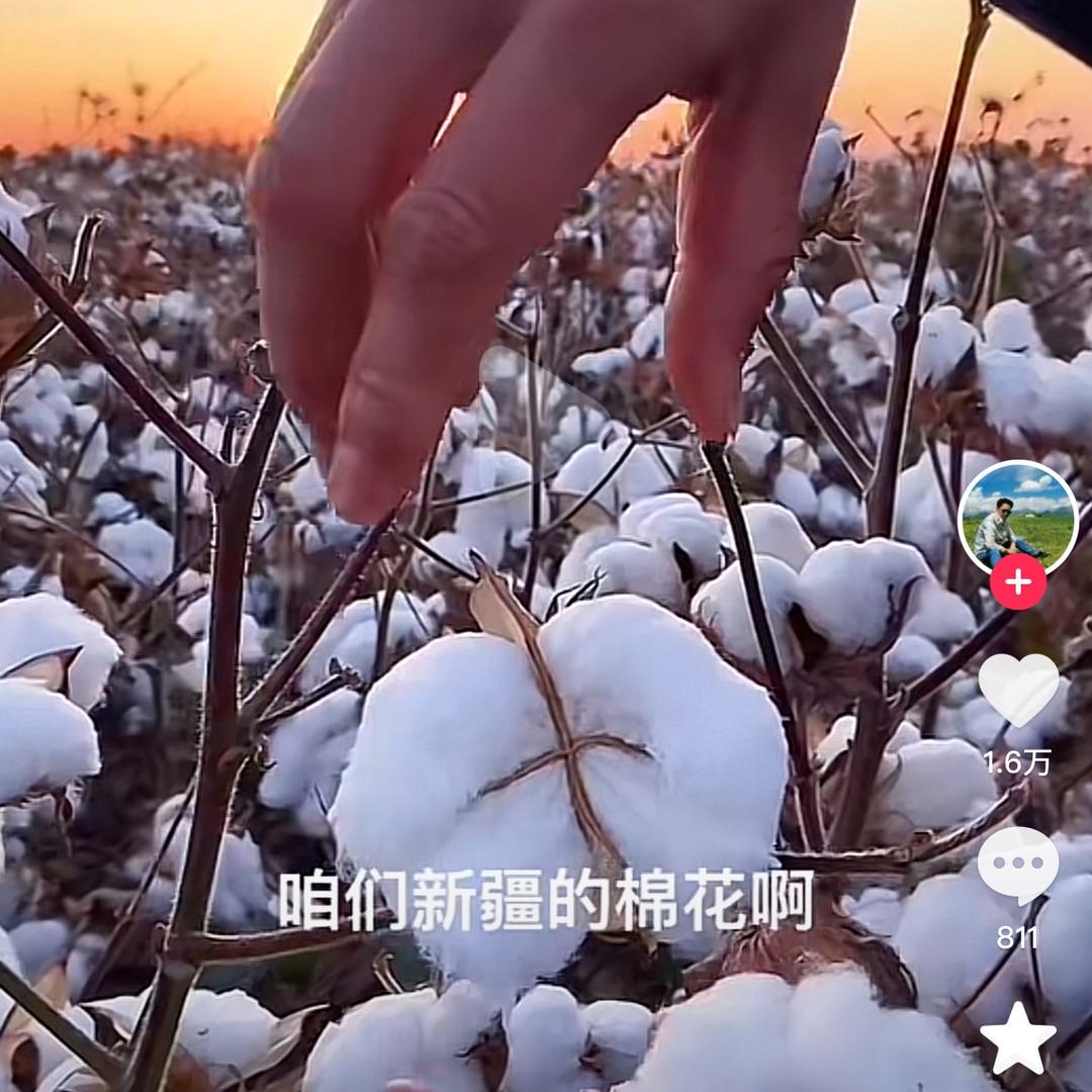 棉卫裤清仓号