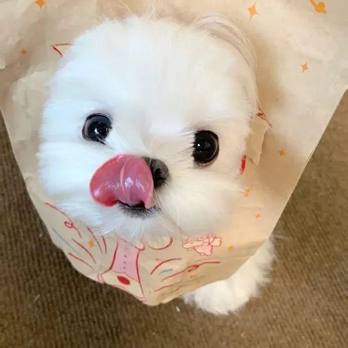 夹鑫面包🥖