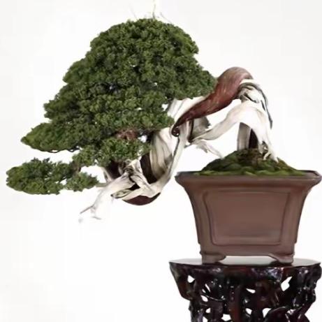 优洛庭花卉园艺
