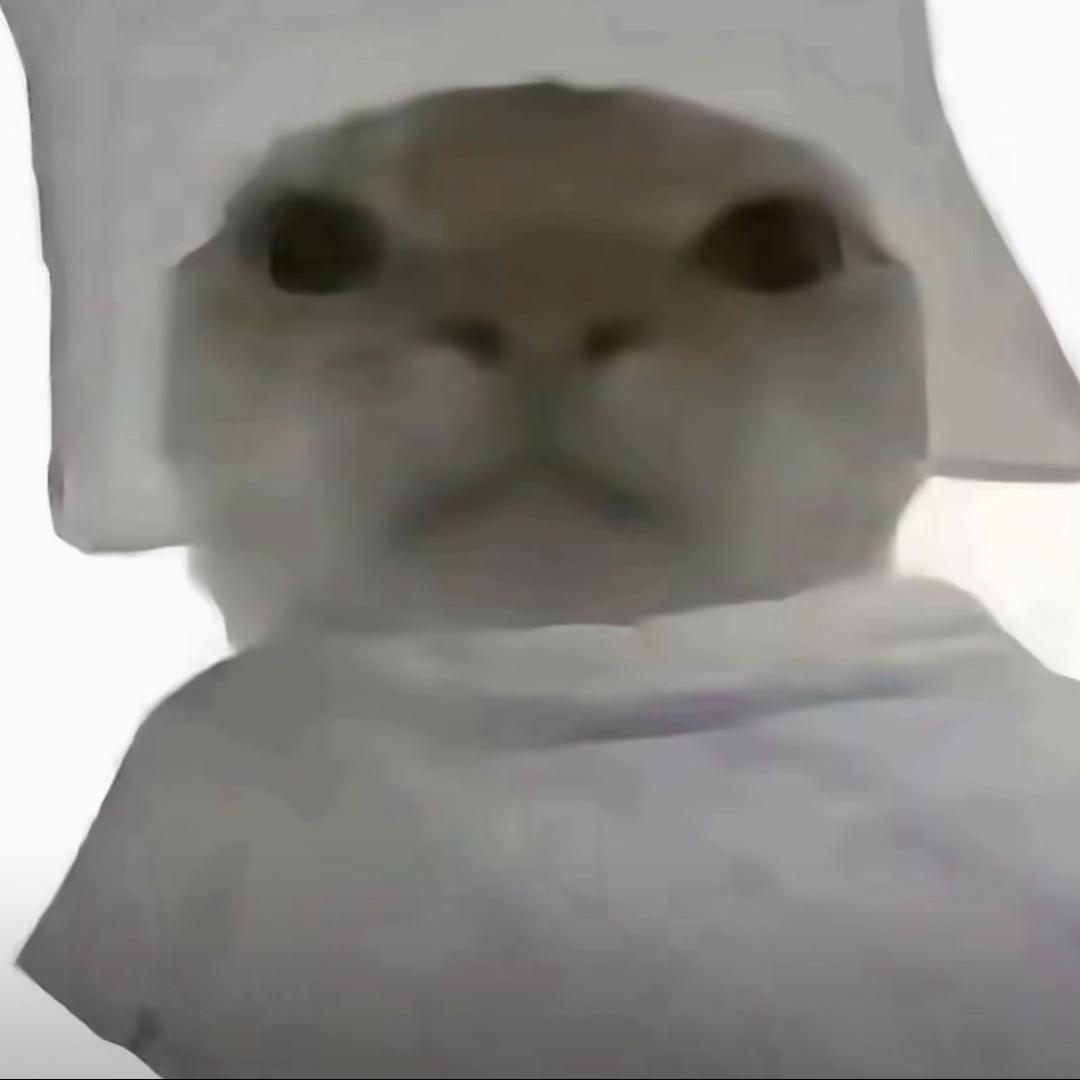 一只鱼