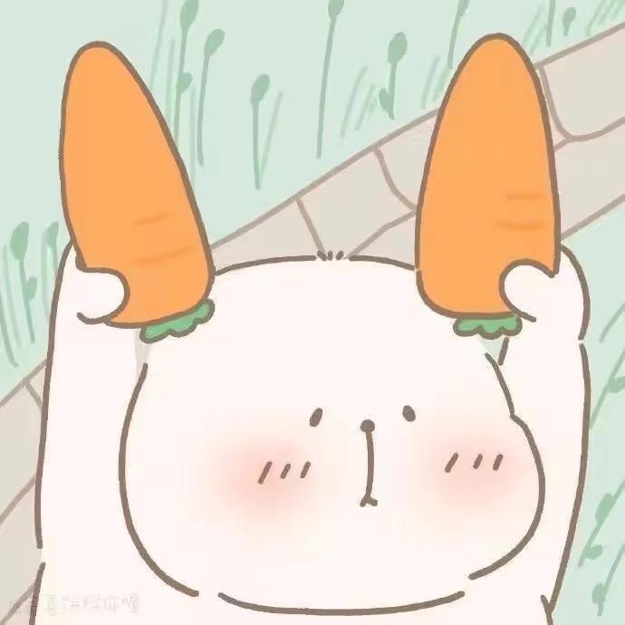 柚子的宝藏口袋