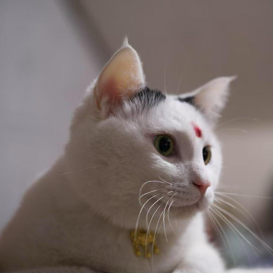 美食博主