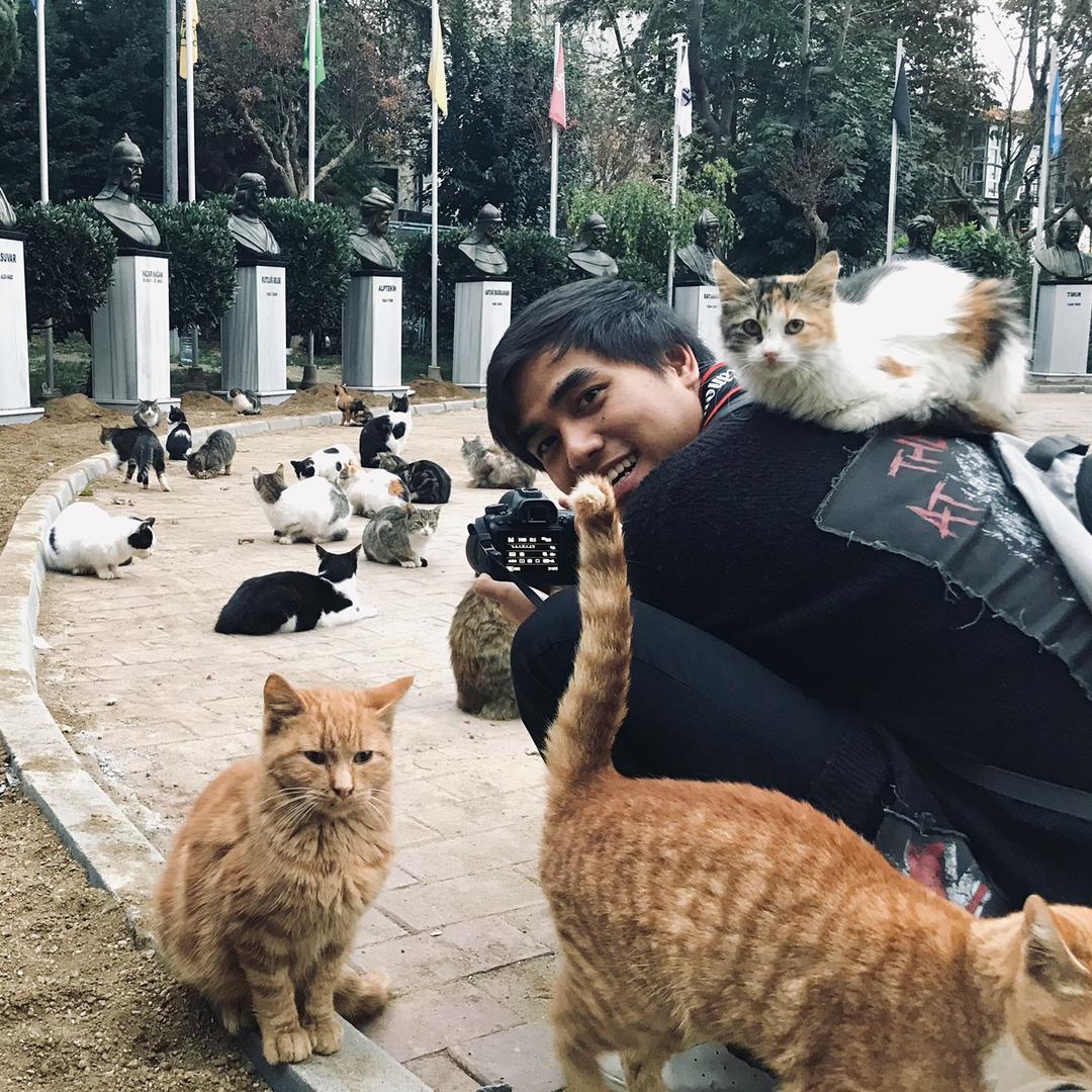 猫大黄(全球吸猫旅居)