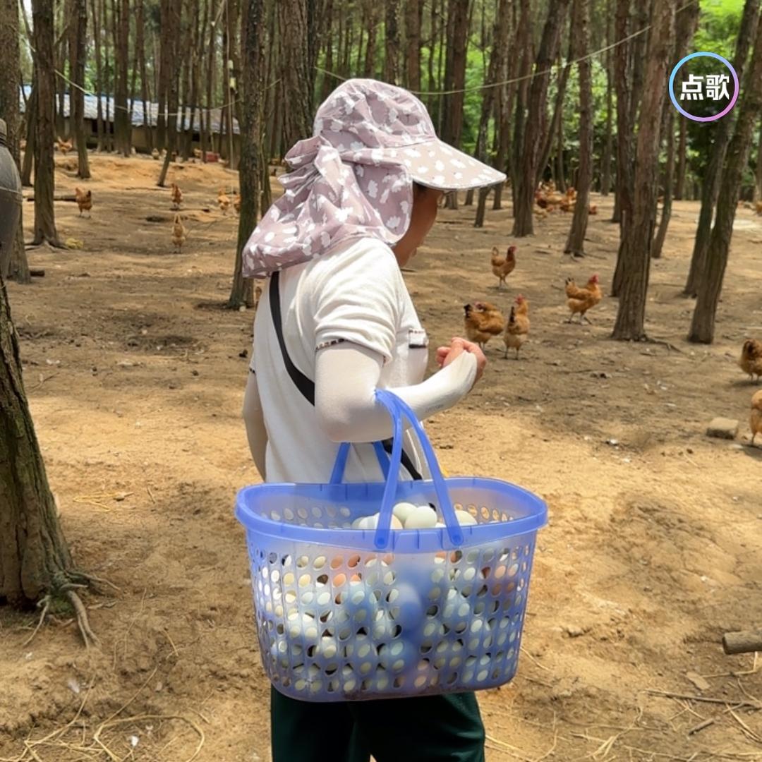 山鸡妹农场