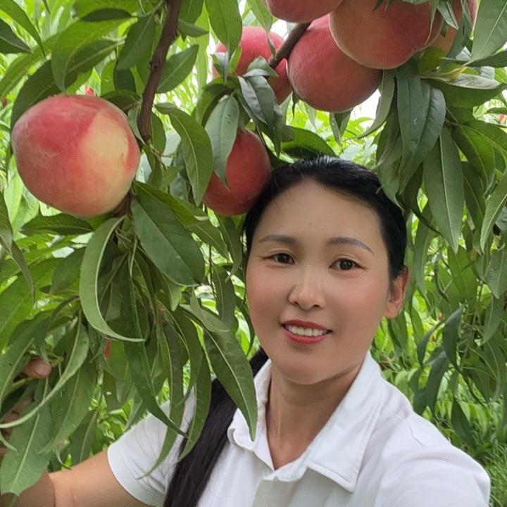 铭泽苗木