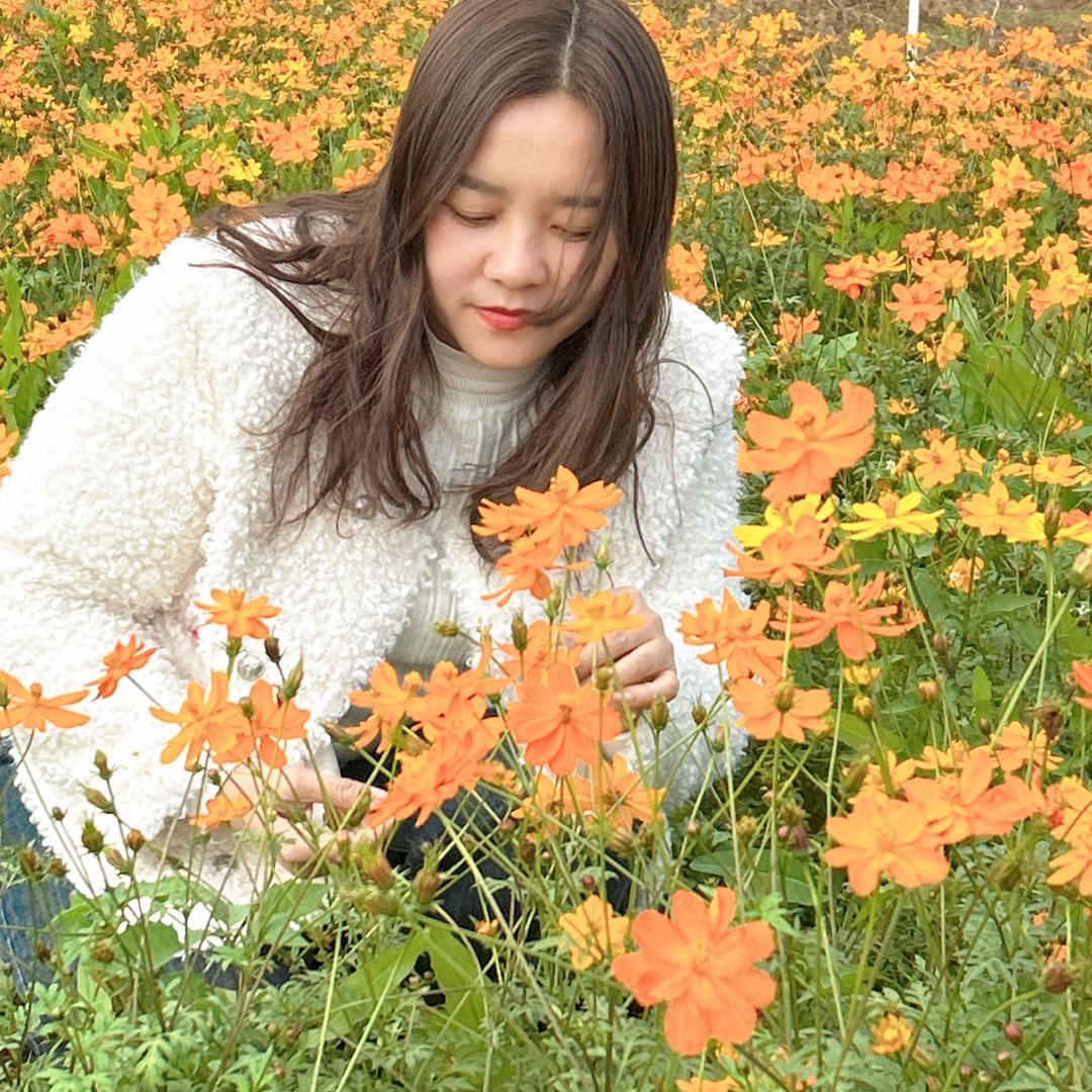 唐淑清