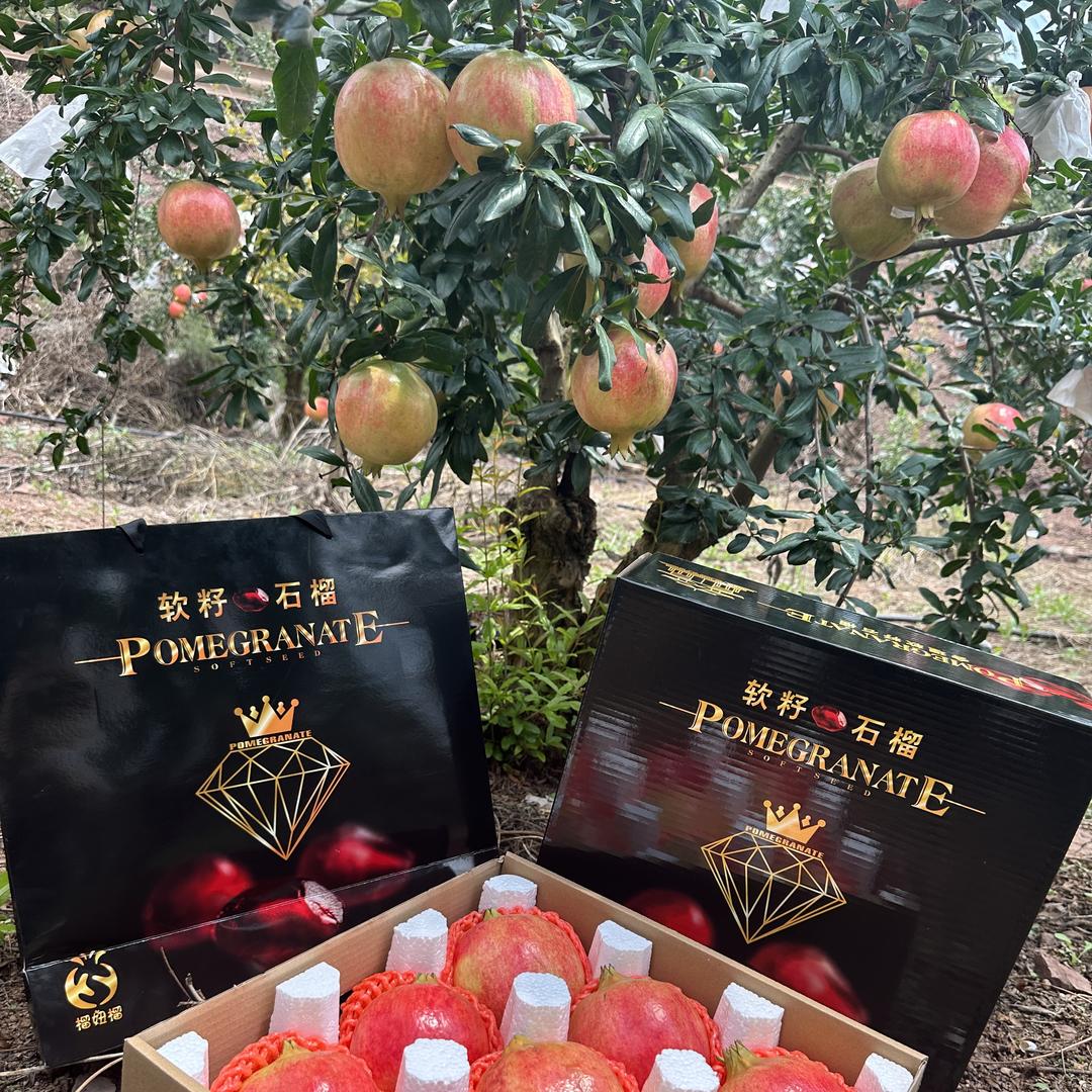 果小艾的企业店