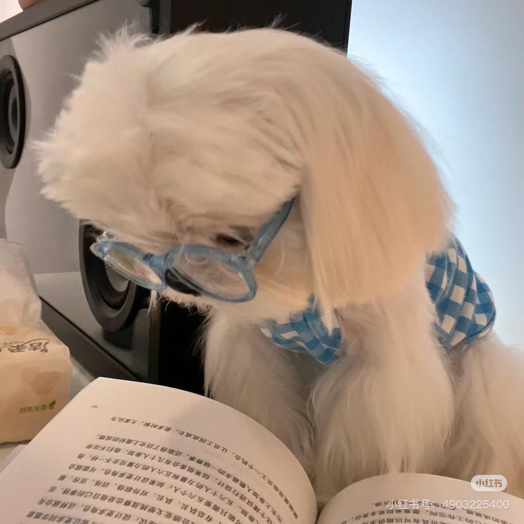 蛋蛋大王