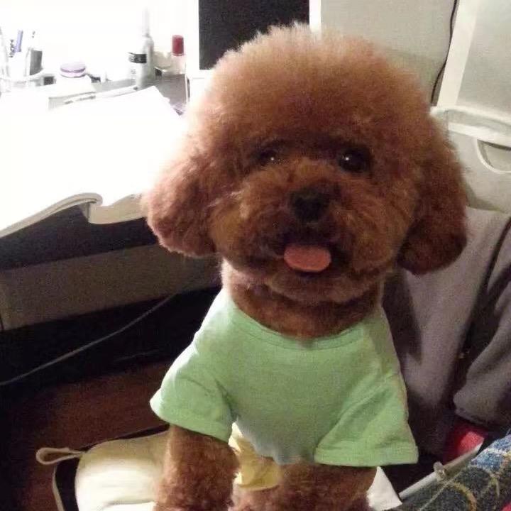 小蒙蒙🍀