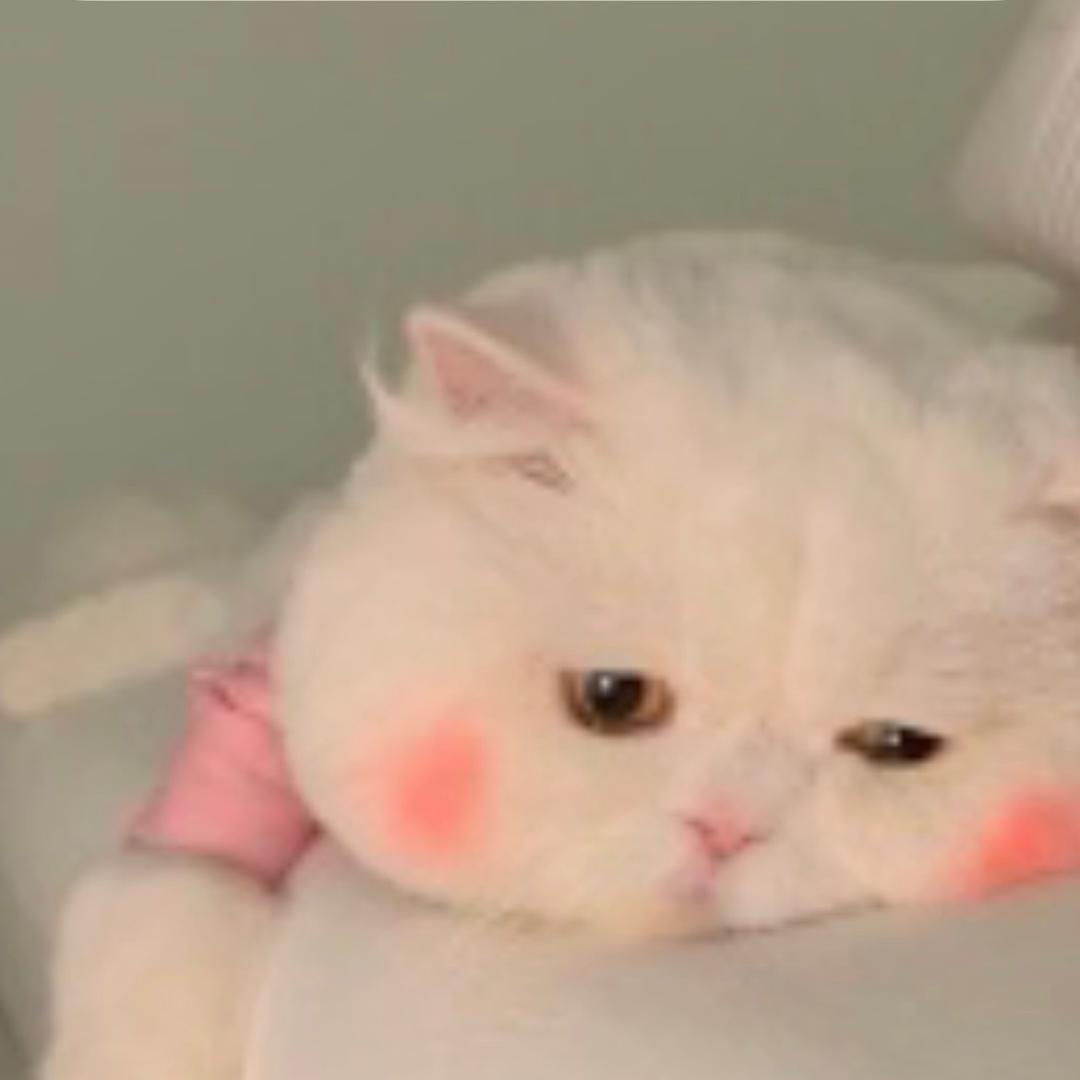 Amy老番茄