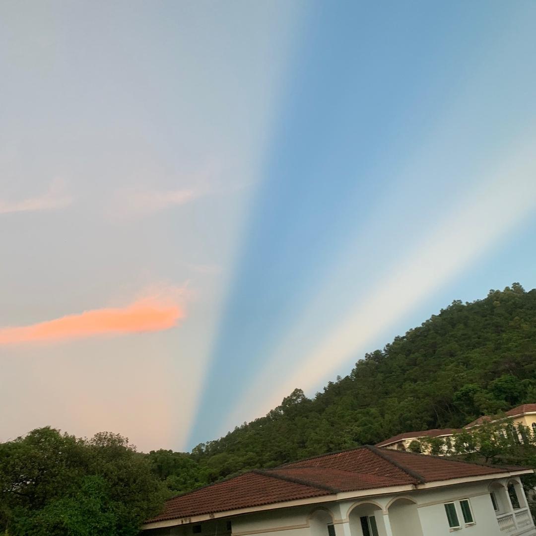 饭米粒