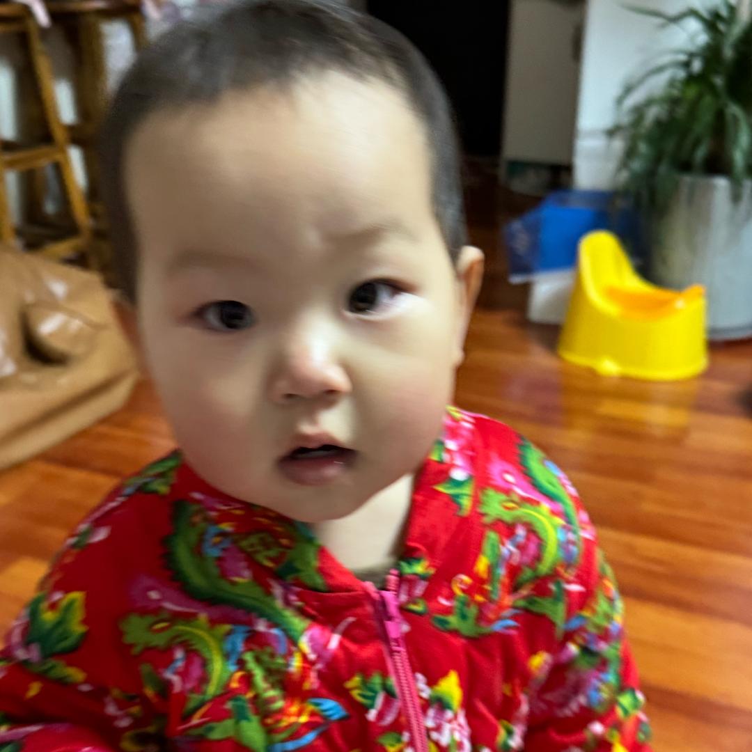 喵喵小苗苗