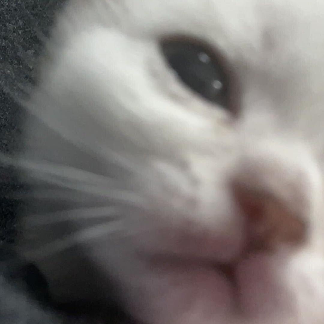 好咸…